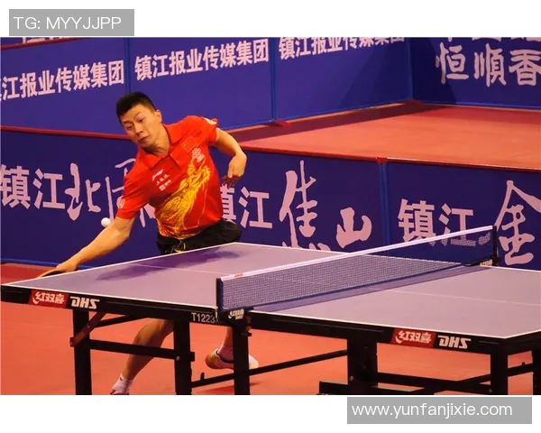 武汉乒乓球队崛起之路联合会杯背后的奋斗与荣耀