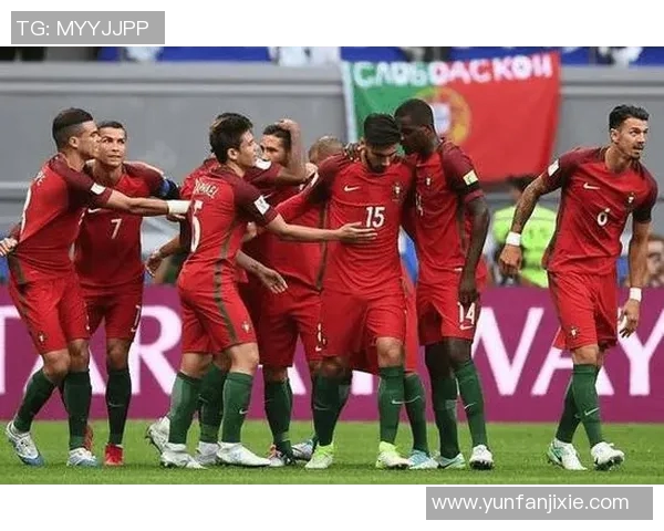 2011年葡萄牙与荷兰激战回顾:精彩瞬间与战术分析 2011年葡萄牙与荷兰激战回顾:精彩瞬间与战术分析