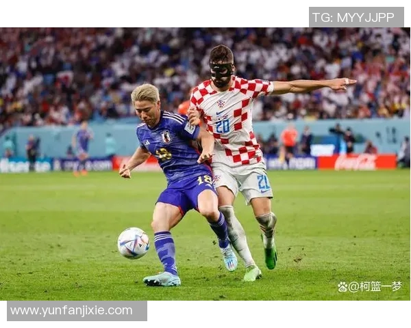 2010年世界杯经典对决巴西与荷兰精彩比赛视频下载分享