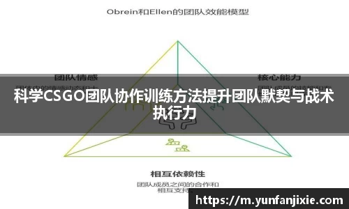科学CSGO团队协作训练方法提升团队默契与战术执行力