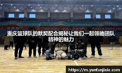 6t体育官方平台