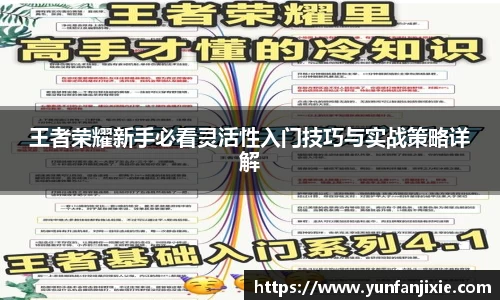 6t体育官方平台