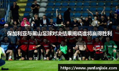 6T体育官方