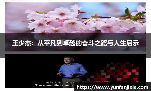 6t体育
