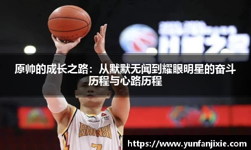 6T体育官方网站入口