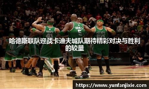 6t体育