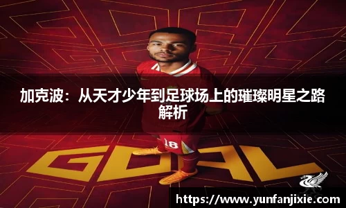6t体育官方平台